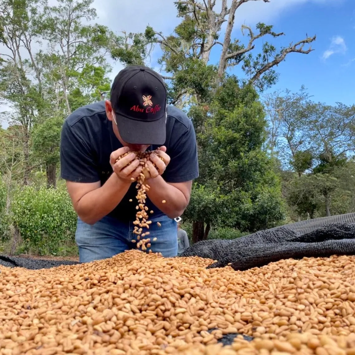 GW-1214 Gesha, double phase washed with dry cascara maceration - Boquete